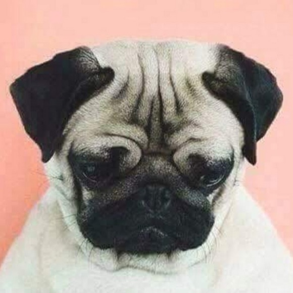 Meet your Posher, Claire - Picture 1 of 1